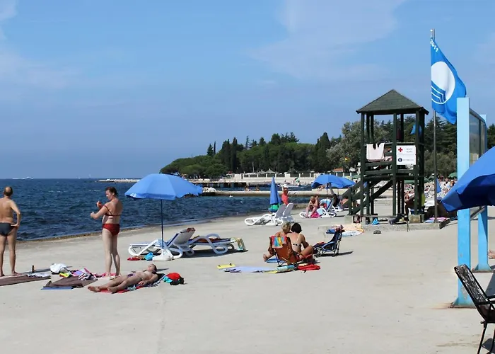 Guest house And With Parking Space - 6917